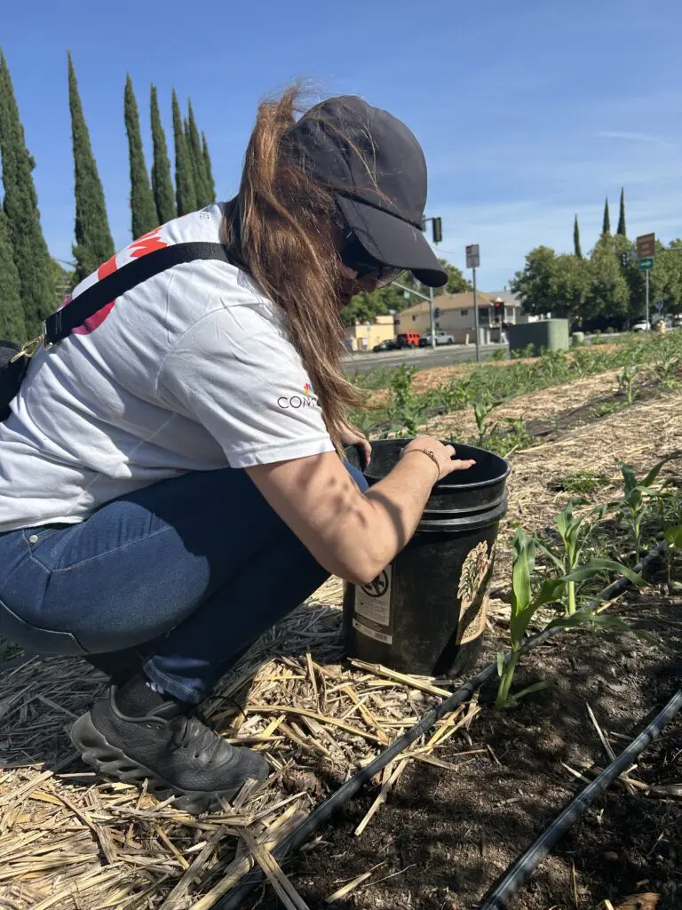 Comcast employees volunteer at Three Sisters Gardens in West Sacramento, California