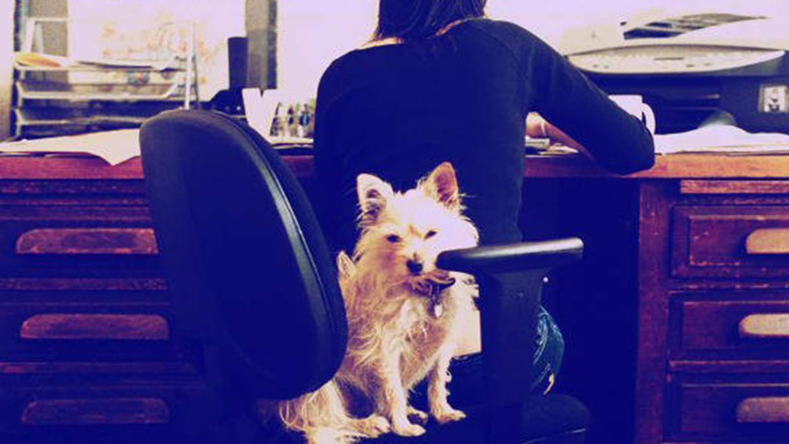 A person and dog sitting on a chair.