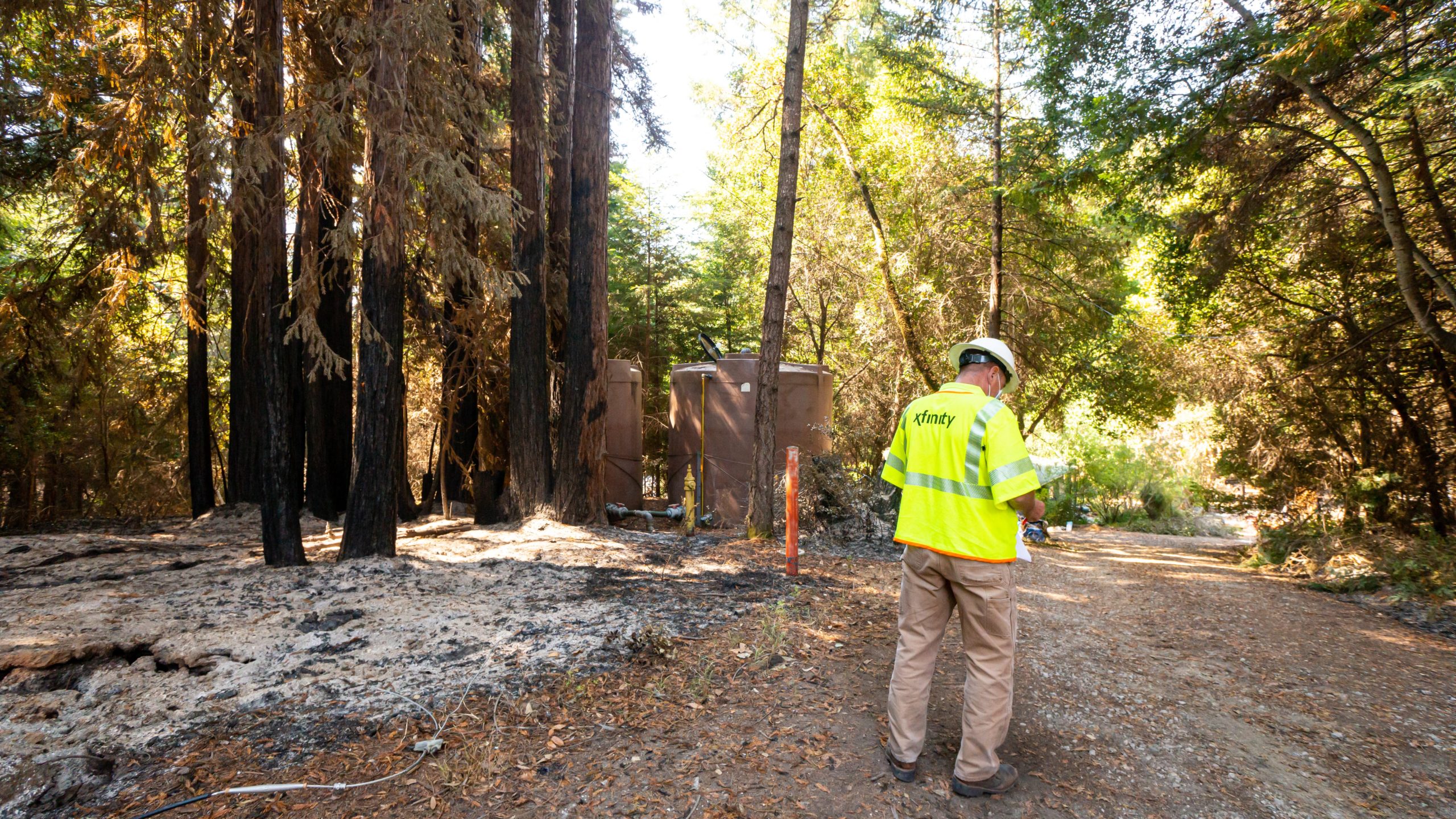 An Xfinity technician examines a forest