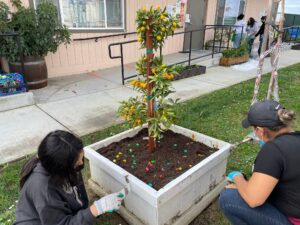 Volunteers planting tree