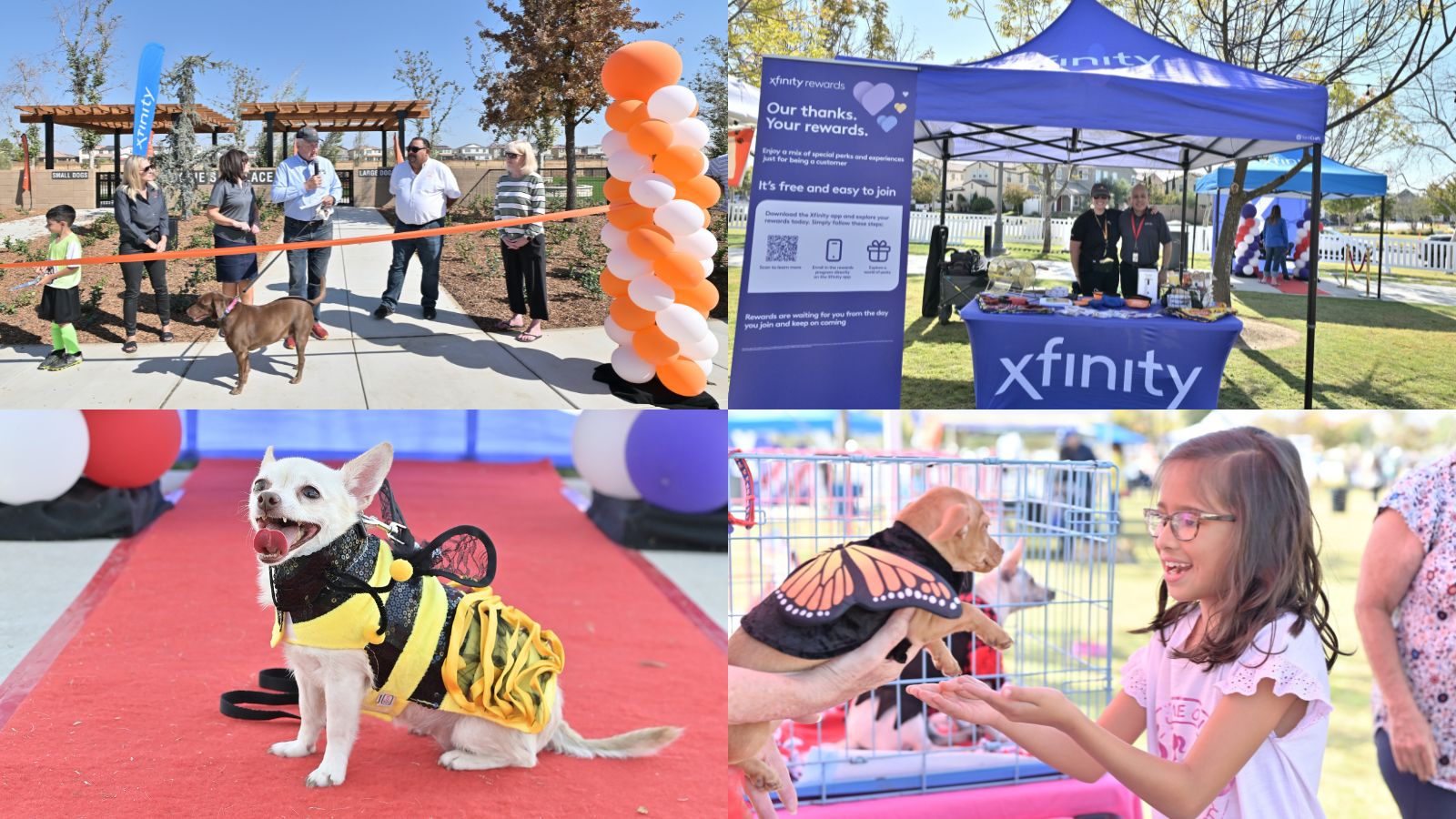 Rosie's Place Dog Park at Tesoro Viejo and Doggie Fashion Show for St. Francis Homeless Project