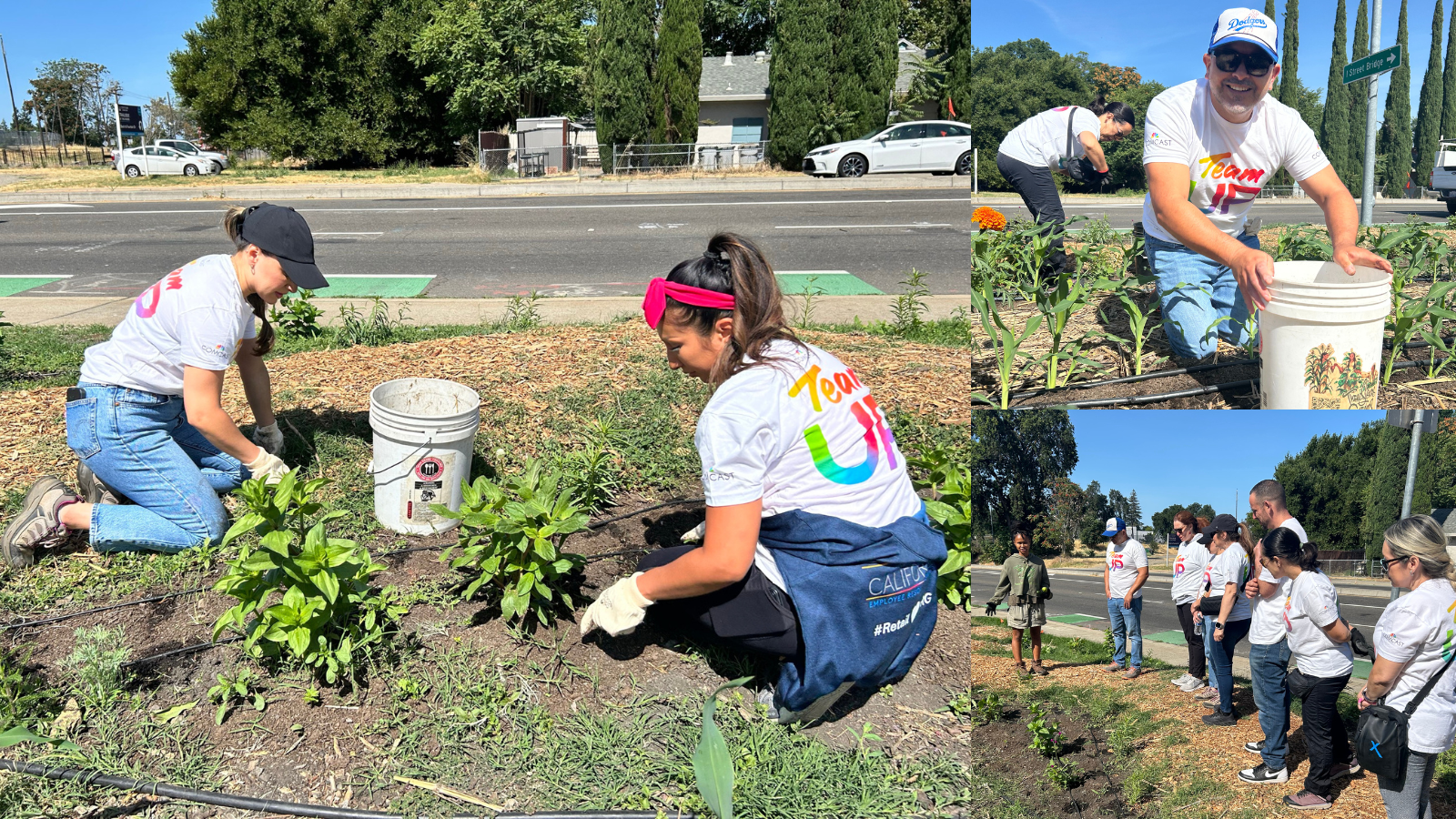 Comcast employees volunteer at Three Sisters Gardens in West Sacramento, California
